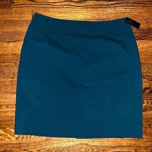 New Worthington Skirt